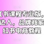 小红书营销秘籍：从新手小白到达人、品牌商家必看电商教程