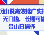 2025小说暴利推广新法！零成本躺赚日入过千，新手3天见效无门槛项目，月入过万攻略大揭秘