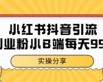 小红书抖音创业粉引流秘籍：小B端精准获客日引300+的独家玩法深度拆解【点击暴涨】