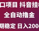 6月爆火抖音无人挂机项目！全自动日赚2000+秘诀大公开 新手也能轻松上手