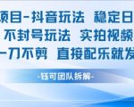 抖音男粉暴利项目：实拍视频日赚500+，一刀不剪直接发布，100%不封号终极玩法