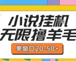小说挂机赚钱秘籍：单窗口日赚50+，矩阵放大收益翻倍，新手也能轻松上手！