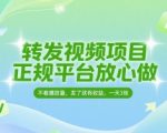 转发视频赚钱新玩法！0粉丝无播放量要求，日赚300+的暴利项目大公开