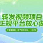 转发视频赚钱新玩法！0粉丝无播放量要求，日赚300+的暴利项目大公开