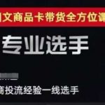2025短视频图文带货爆单秘籍：千川全域投流优化实战课，7天打造高转化商品卡
