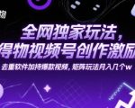 得物视频号爆款秘籍：独家去重软件+矩阵玩法揭秘 轻松月入10W+