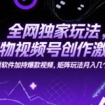 得物视频号爆款秘籍：独家去重软件+矩阵玩法揭秘 轻松月入10W+