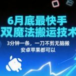 6月底爆火快手双魔法搬运技术 3分钟一条无脑搬运 安卓苹果通用 日赚1000+