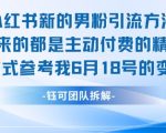 小红书男粉暴增秘籍！3天引流1000+精准男粉的终极实操攻略