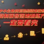中小企业短视频精准获客实战秘籍：3天引爆流量，低成本转化100+客户的落地方案