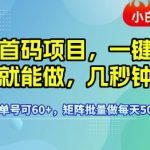 暴利首码项目！新手1小时狂赚600+ 独家矩阵玩法日入5000【0门槛教程】