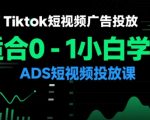 TIKTOK短视频广告投放秘籍：0基础小白3天速成ADS高手，日赚1000+实战教程