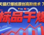 淘宝天猫爆款打造秘籍70期：标品秒变爆款的高阶运营技巧