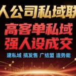 高客单私域变现秘籍：一人公司如何打造强人设成交体系，私域联盟+发售爆破+势能造富全攻略