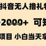 抖音无人撸礼物8.0暴利玩法：单号日赚2K+矩阵操作全攻略，新手当天见效！