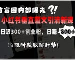 小红书爆款引流秘籍：首富圈疯传的日吸300+精准粉变现术，7天狂赚5W+实战教程！