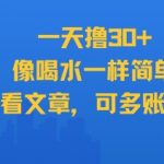 手机看文章日赚千元！30+账号轻松管理，新手也能躺赚的终极秘籍