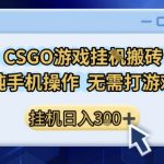 CSGO挂机搬砖赚钱秘籍 手机零门槛日赚300+ 无需电脑的暴利副业大揭秘
