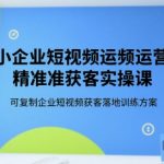 中小企业短视频运营爆单秘籍：3天学会精准获客实战技巧，90%企业都在用的流量变现方案