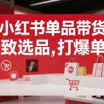 小红书爆款单品带货秘籍：极致选品策略，7天打造百万销量爆款！