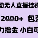 日入2K+全自动抖音无人直播暴利项目揭秘 小白轻松上手躺赚秘籍
