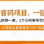 2025年最暴利首码项目！新手1小时狂赚50+ 日入500+实操秘籍大公开