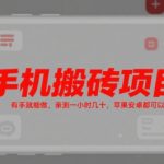 手机搬砖赚钱神器！实测苹果安卓一小时狂赚100+，零门槛小白轻松日入千元