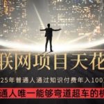 2025知识付费暴利秘籍：新手3步炼成收割术 日赚10万终极指南