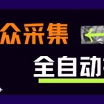 大众采集全自动赚钱秘籍：新手3步日赚500+ 零成本暴利玩法大公开