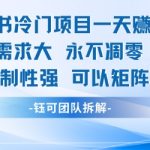 日赚900+！小红书冷门暴利项目揭秘：0成本矩阵操作，新手轻松复制月入3W+