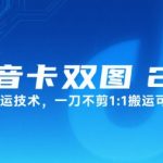 抖音卡双图文2.0终极搬运术：100%原创伪装+秒过审+链接狂赚，新手日入5000秘籍大公开