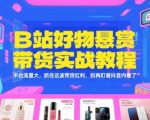 B站带货红利暴赚秘籍 3天速成实战教程 流量暴涨100倍 新手月入5万+