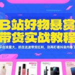 B站带货红利暴赚秘籍 3天速成实战教程 流量暴涨100倍 新手月入5万+