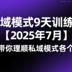9天速成私域变现高手：2025最新实战训练营，手把手教你打通私域全链路