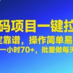 首码暴利项目揭秘 一键拉新日赚千元 单号70+批量操作稳赚不赔 新手小白轻松上手攻略