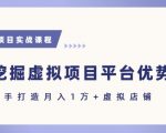虚拟项目赚钱秘籍：新手7天速成指南，月入1W+实战攻略大公开