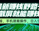 手机截屏日赚500元！零门槛野路子赚钱秘籍大公开，新手1小时上手