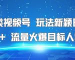 爆赚秘籍！名著视频号日入500+实操攻略，流量狂飙适合所有人