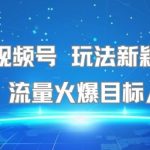 爆赚秘籍！名著视频号日入500+实操攻略，流量狂飙适合所有人