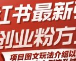 小红书暴力引流创业粉秘籍：3天涨粉1000+的图文玩法大揭秘，安全倒流私域实操指南