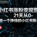 21天小红书涨粉变现秘籍：零基础打造月入过万的高效账号实战指南