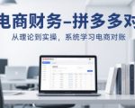 拼多多电商对账全攻略：从零基础到高手速成，7天掌握财务对账核心技巧