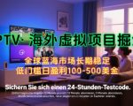 2025最新海外虚拟掘金项目！零门槛日赚200美金全攻略，普通人3天上手实现躺赚