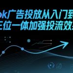 TikTok广告投放终极指南：零基础速成高手技巧，流量暴涨300%的实战秘籍