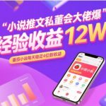 小说推文暴利秘籍：私董会大佬亲授12W爆单技巧，番茄小说日赚4000+实战攻略