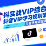 抖音VIP综合实战班：7天掌握抖音核心变现技巧，轻松月入10万+