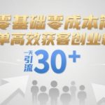 零基础创业粉暴增秘籍：一天狂吸30+精准客户，零成本高效引流全攻略