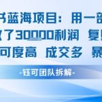 小红书蓝海项目轻松日赚1000+！新手无脑操作单月3W收益揭秘，99%用户疯狂抢购