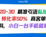 日引30+精准流量！50%超高转化率的虚拟资料私域玩法，手机操作日赚1000+的秘密大公开