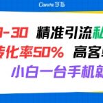 日引30+精准流量！50%超高转化率的虚拟资料私域玩法，手机操作日赚1000+的秘密大公开